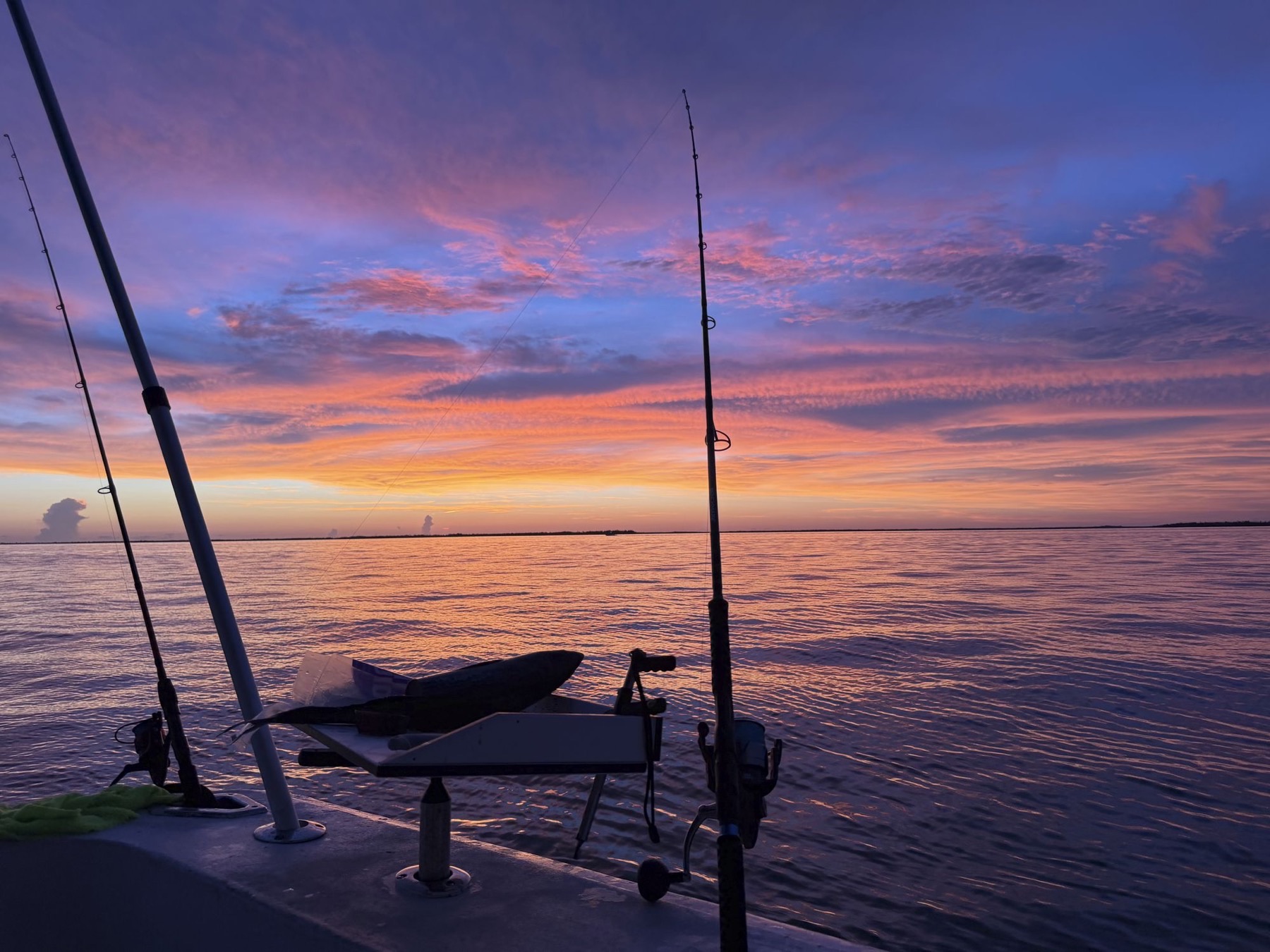Lines out at last light