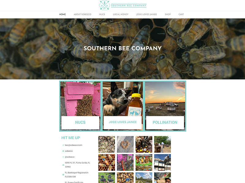 Southern Bee Co, WordPress